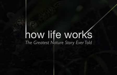 How Life Works