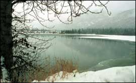 The temperature in Maine can dip to  20 below in the winter!