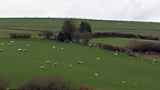Changes in Agriculture