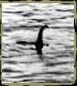 Loch Ness Monster