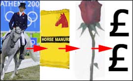 A horse, manure, a rose and some money