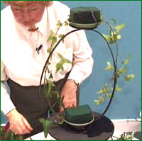 insert ivy on each side