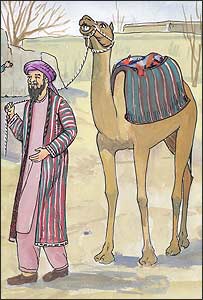 شتر
