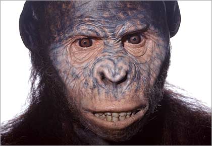 Lucy (Australopithecus afarensis) 