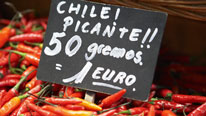 Useful facts about the Spanish language in Spanish