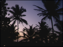 Anjuna Beach