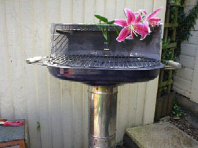 BBQ Lilies