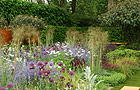 The Daily Telegraph Garden