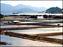Bãi nuôi tôm ở Việt Nam
