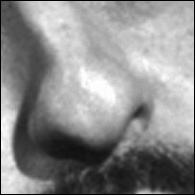 Nose