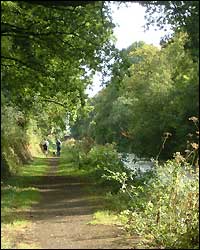 The path and canal