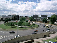 Sunny Slough