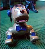 Robot dog. 