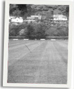 Y cae newydd