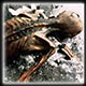 Otzi emerged from the ice in 1991