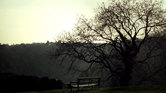 park.