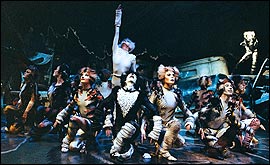 Picture: The cast of Cats