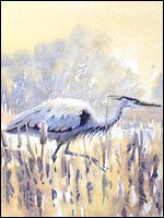 Heron