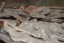 Murambi Memorial Centre