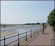 The Tarka Trail