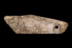 Thirteen thousand year old Wolverine pendant from Les Eyzies, Dordogne, France