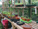 Greenhouse