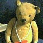 Bobby Bear in the comfort of his present home. Bobby Bear in the comfort of his present home.