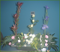 Container with flowers