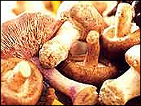 Mushrooms