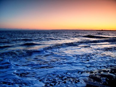 The sea