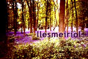 Llesmeiriol