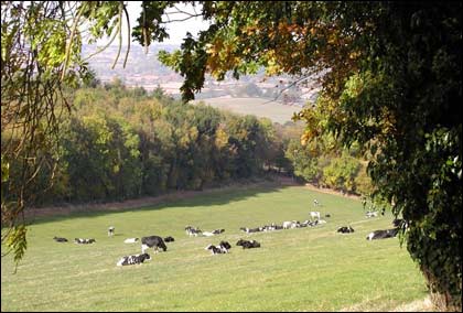 Autumn in Herefordshire.