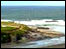 Polzeath surf