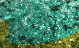 Blue shingle.