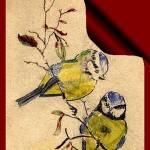 Front Cover of Book
