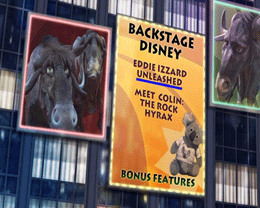 The Wild DVD
