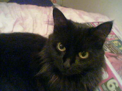 Salem