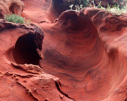 Dawlish sandstone © Becca Melhuish