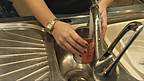 Domestic Recycling