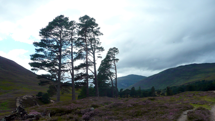 View from Derry Lodge to Cairngorm plateau