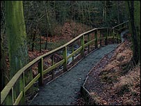 A path in Leasowes Park