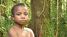 Dua yn ei chynefin yn jyngl Papua © Rachael Kinley