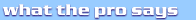 what the pro says