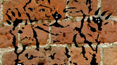 Graffiti cat... Graffiti cat...