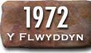 Blwyddyn