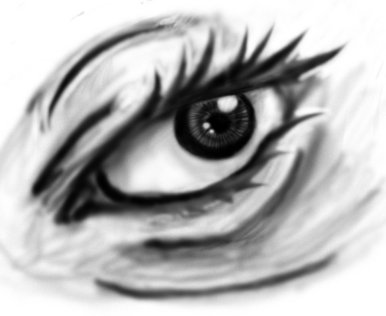Eye?