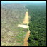 Amazônia