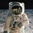 Moon Landing