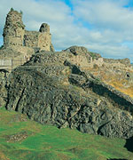 Montgomery Castle