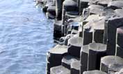 Giant's Causeway © Maura McGinley